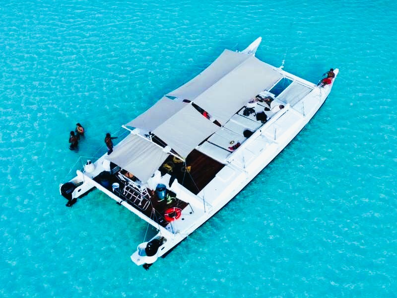 Catamaran Snorkel Trip to El Cielo & The Money Bar