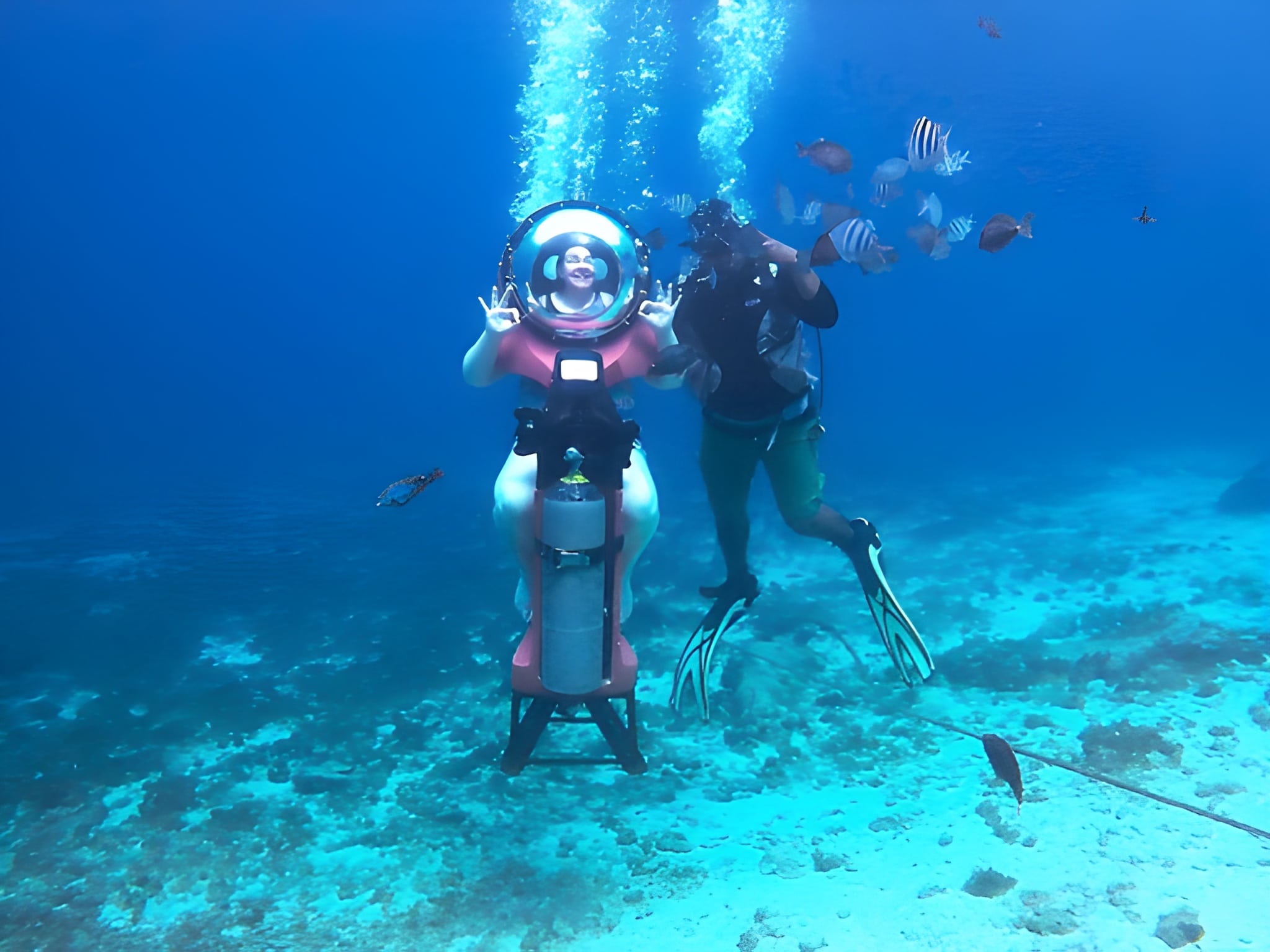 Mini Submarine Dive Adventure